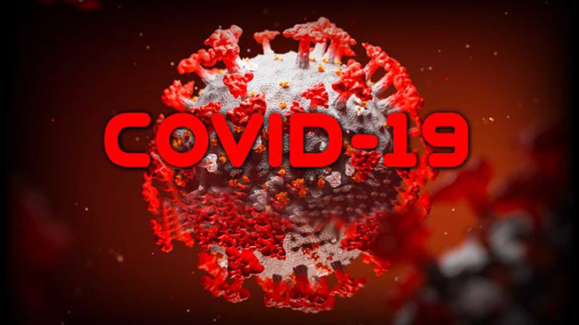 nonprofit grant writing